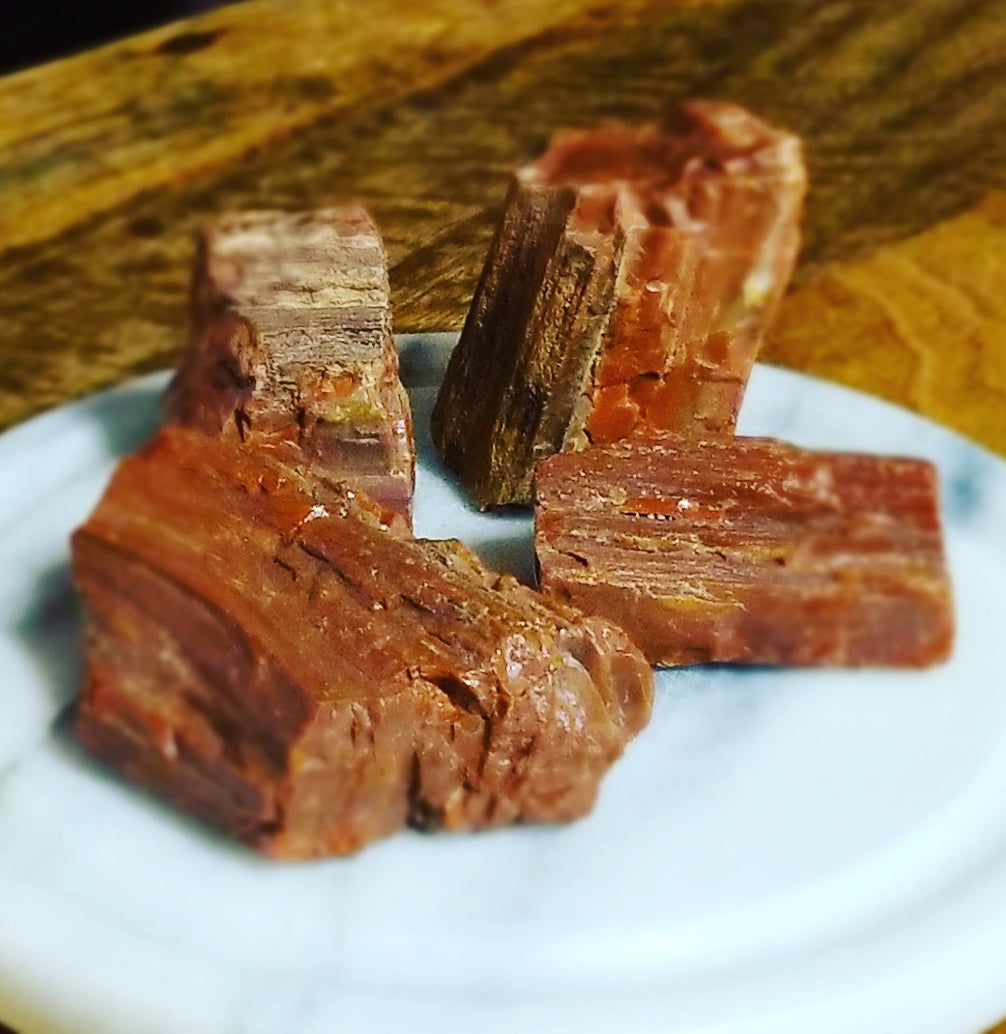 Petrified Wood