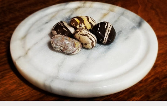 Zebra Jasper
